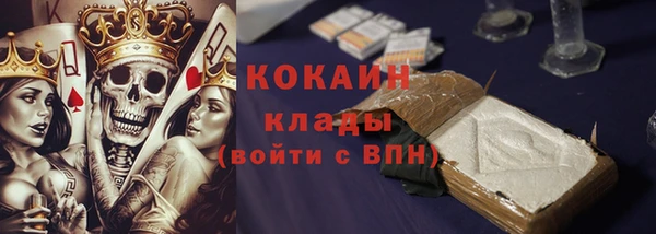 прущие грибы Бородино