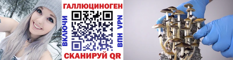 Галлюциногенные грибы MAGIC MUSHROOMS  сколько стоит  Рыбинск 